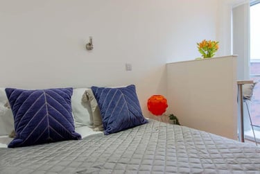 1 bed studio, Ilkeston Road, Radford, Nottingham, NG73GE - Image 8